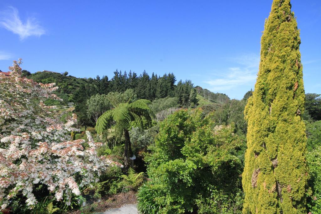 Durie Vale Retreat Villa Whanganui Buitenkant foto